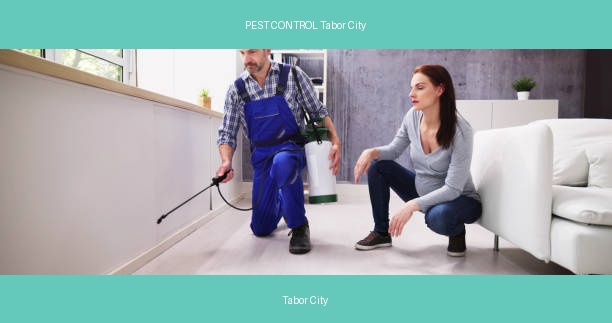 PEST CONTROL Tabor City